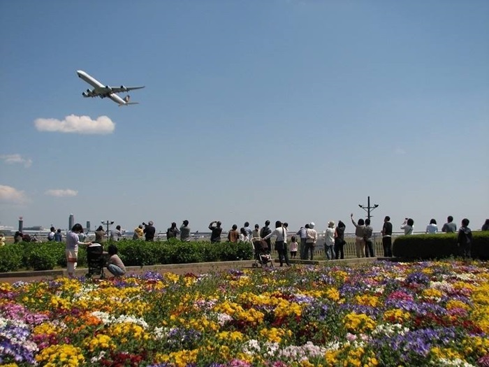 สนามบินนาริตะ, ญี่ปุ่น