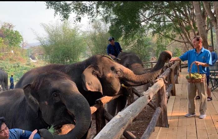 สถาบันคชบาลแห่งชาติฯ ลำปาง (The Thai Elephant Conservation Center Lampang)