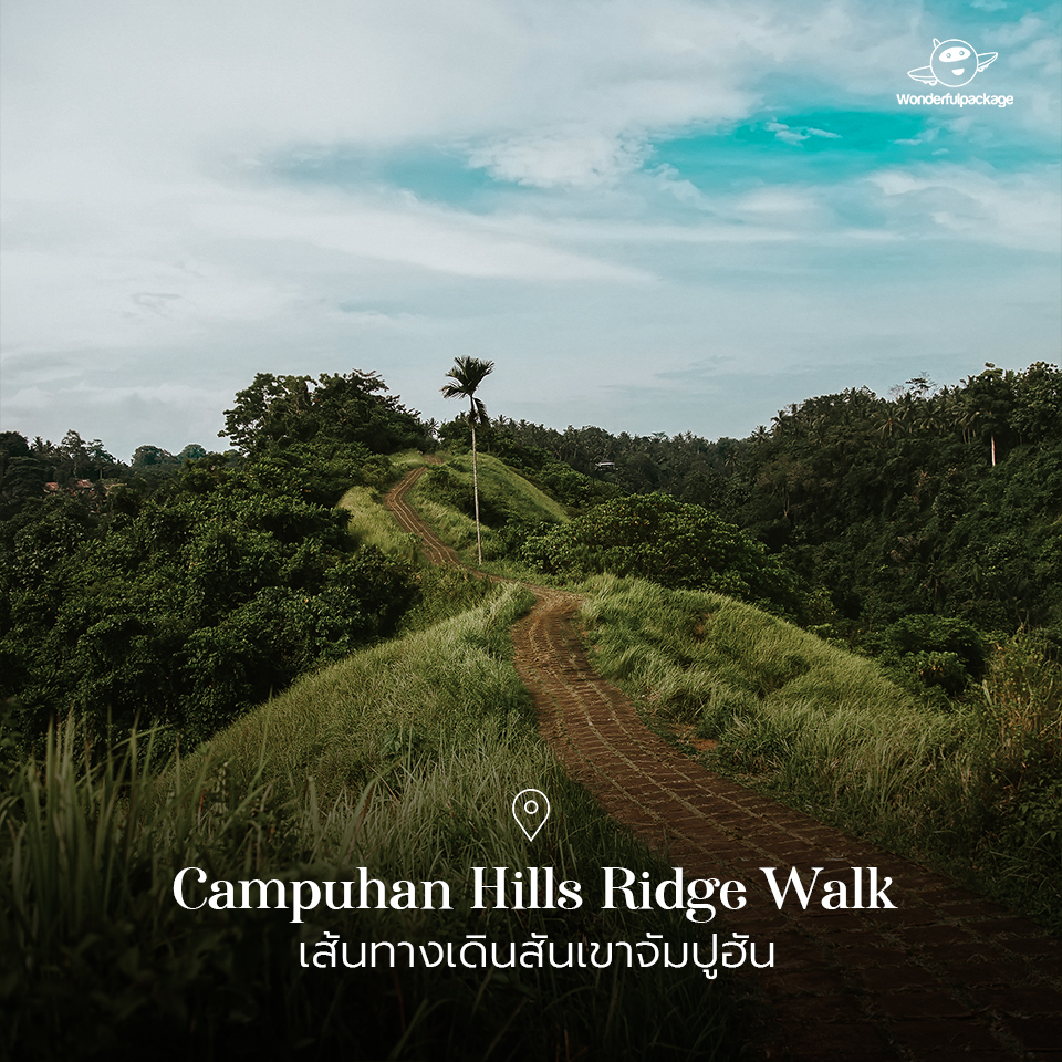 Campuhan Hills Ridge Walk เส้นทางเดินสันเขาจัมปูฮัน