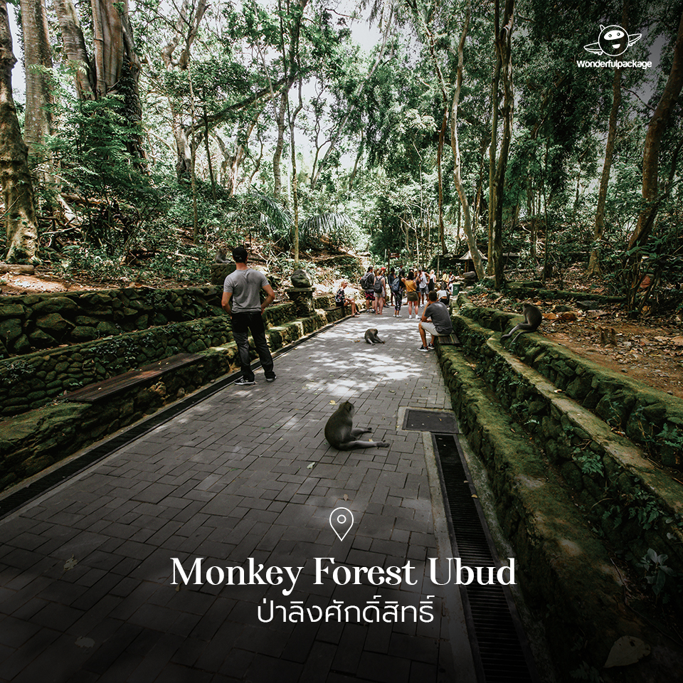 Monkey Forest Ubud ป่าลิงศักดิ์สิทธิ์