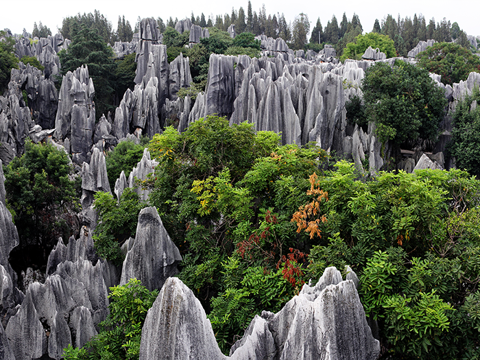 สถานที่มรดกโลกทางธรรมชาติของจีน หมู่เกาะเว่ยโจว (South China Karst)