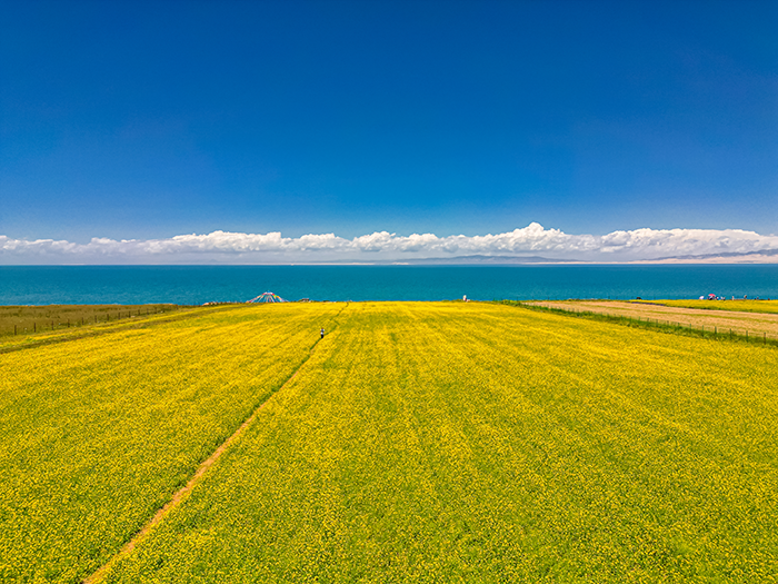 สถานที่มรดกโลกทางธรรมชาติของจีน ทะเลสาบชิงไห่ (Qinghai Lake)