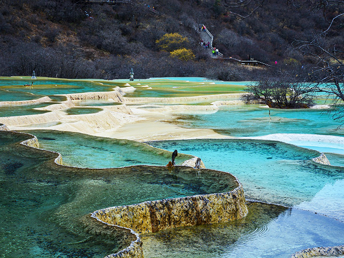 เจาะลึกหวงหลง: มรดกโลก UNESCO (เที่ยวกับ Local Guide)