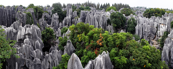 ที่เที่ยวคุนหมิงอุทยานป่าหินยูนนาน (Stone Forest)