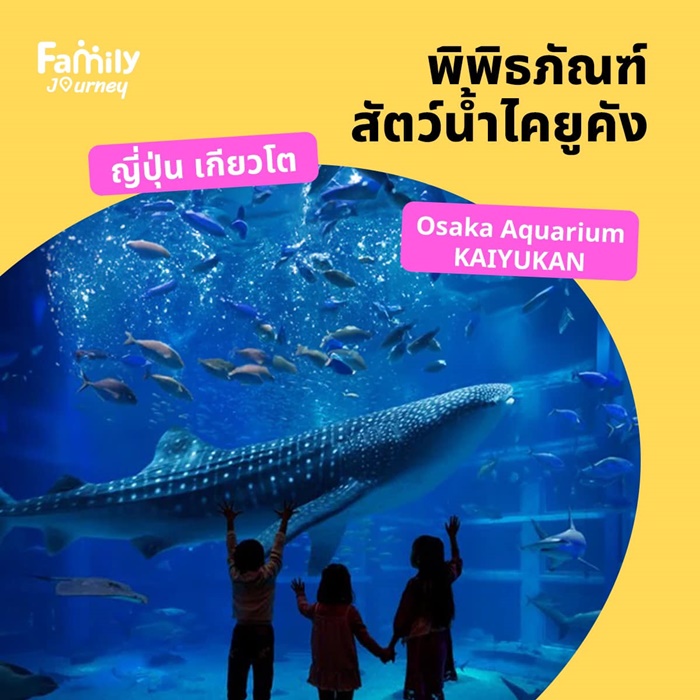 พาลูกเที่ยว ญี่ปุ่น – พิพิธภัณฑ์สัตว์น้ำไคยูคัง (Osaka Aquarium KAIYUKAN) 