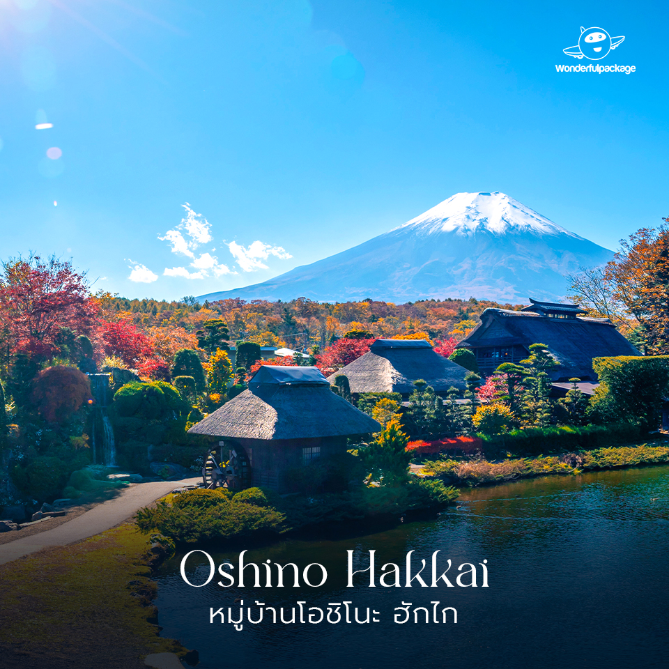 ภูเขาไฟฟูจิ หมู่บ้านโอชิโนะ ฮักไก (Oshino Hakkai) 