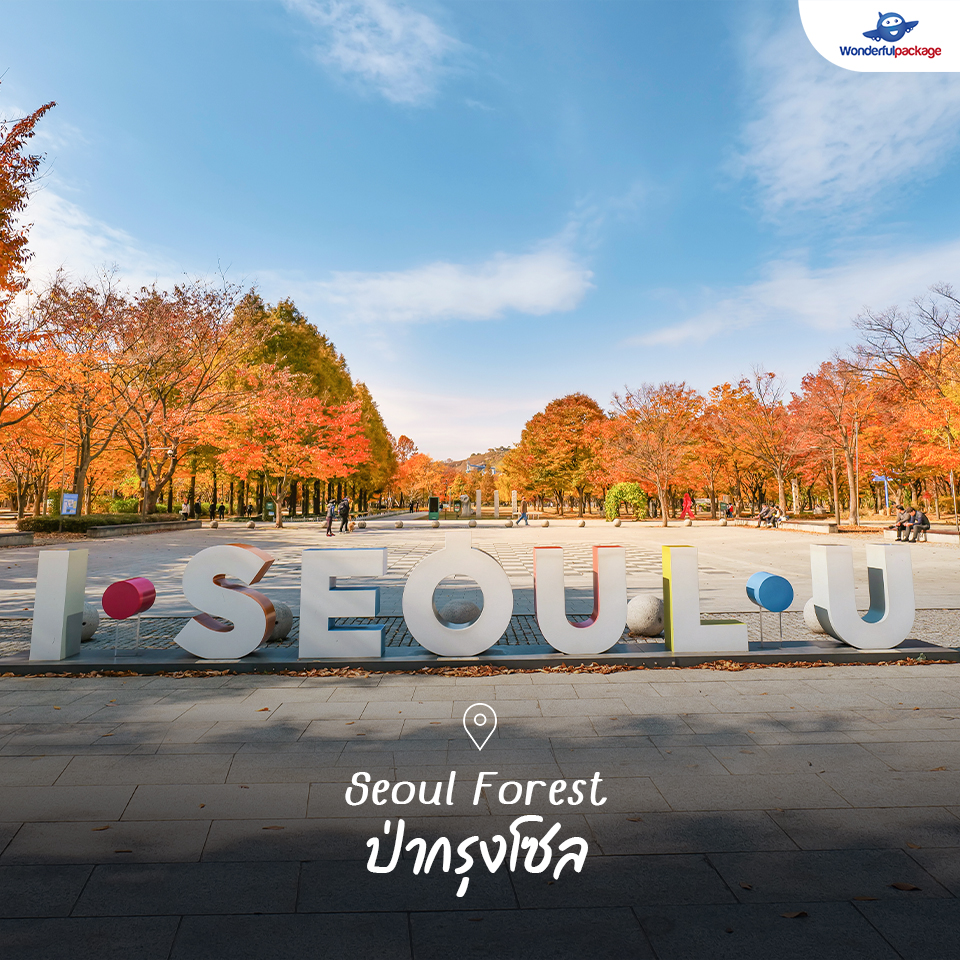 Seoul Forest ป่ากรุงโซล