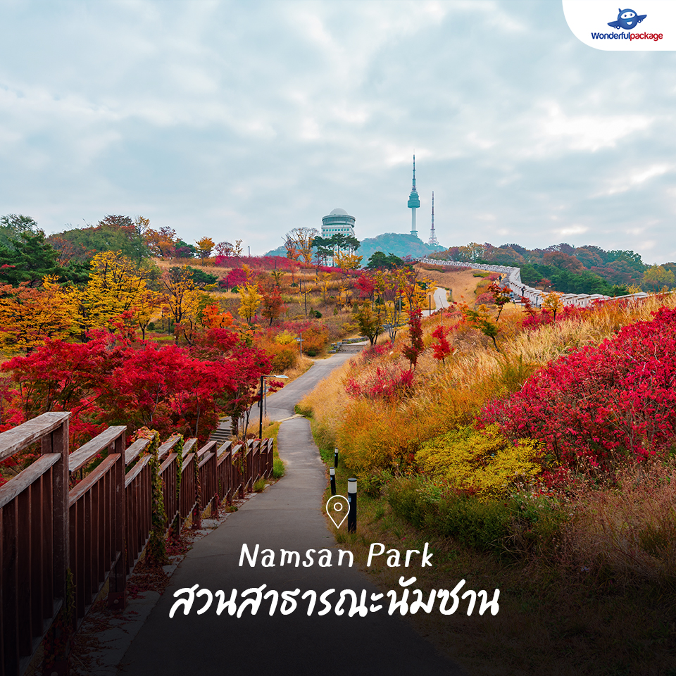 Namsan Park สวนสาธารณะนัมซาน