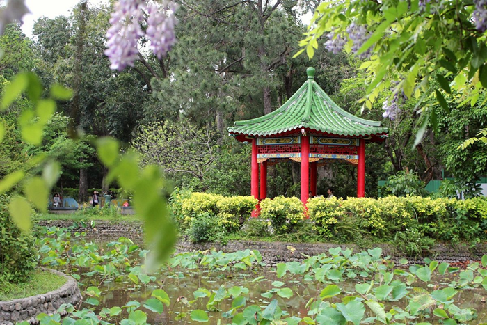 ที่เที่ยวไทเป สวนพฤกษศาสตร์ไทเป (Taipei Botanical Garden)