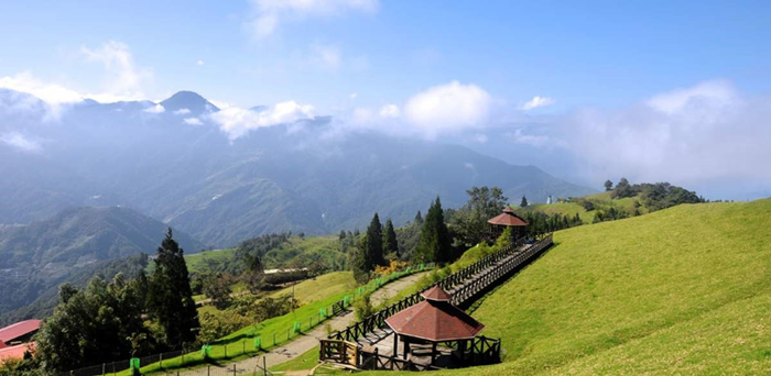 ที่เที่ยวไต้หวัน ฟาร์มแกะชิงจิ้ง (Qingjing Farm)