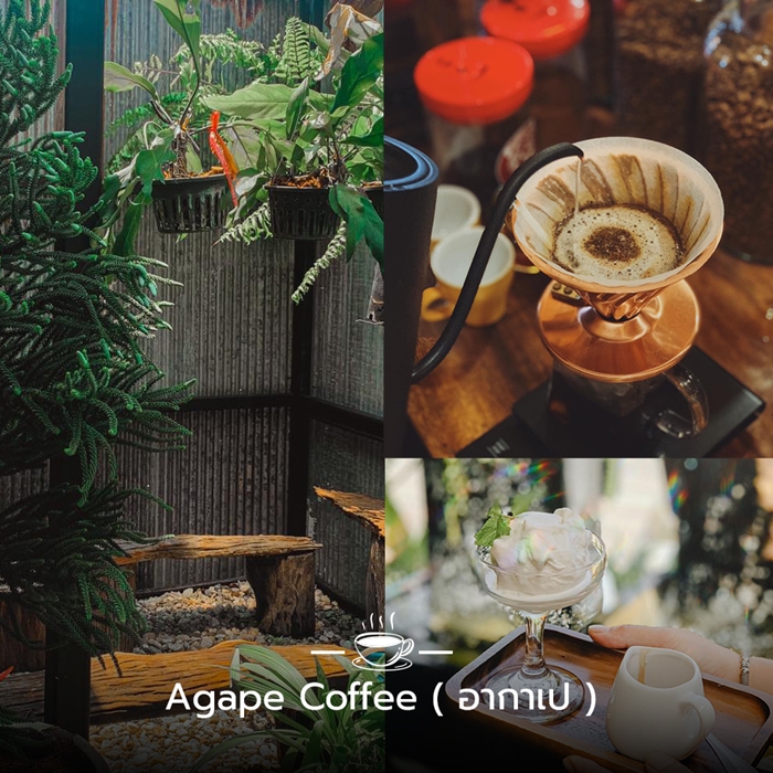 Agape Coffee ( อากาเป )