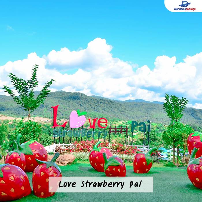 Love Strawberry Pai