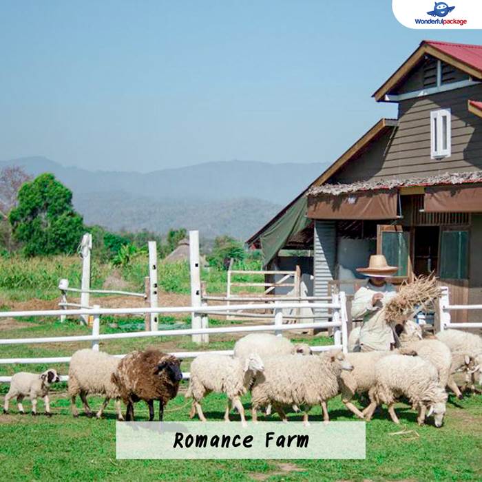 Romance Farm