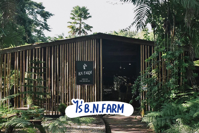 ไร่ B.N.Farm