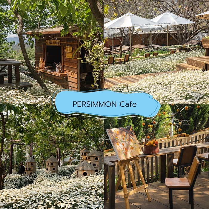 คาเฟ่ดาลัด PERSIMMON Cafe