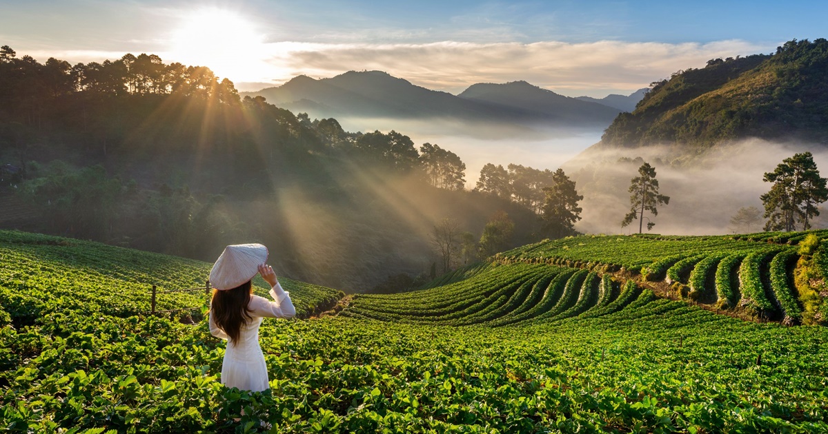 ไปสัมผัสลมหนาวให้ธรรมชาติโอบกอดที่เวียดนามเหนือ