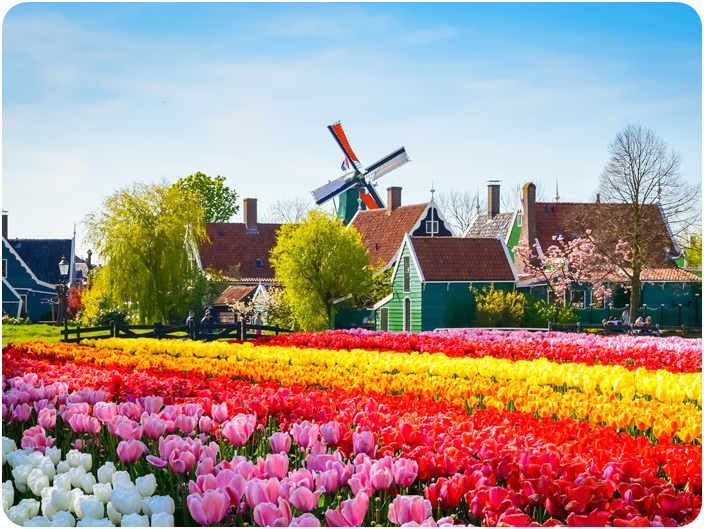 หมู่บ้านวัฒนธรรมฮอลแลนด์ ซานส์สคันส์ (Zaanse Schans)