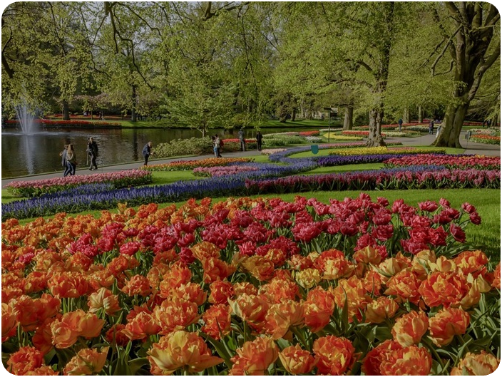 สวนดอกไม้เคอเคนฮอฟ (Keukenhof)