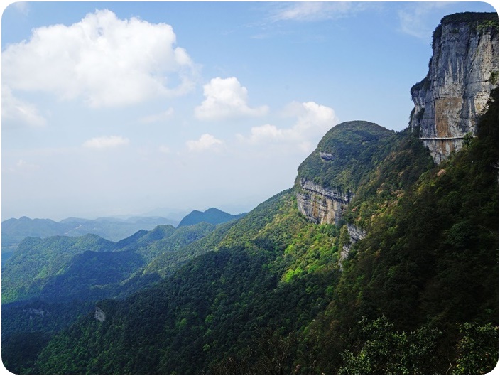 เทือกเขาจินฝอซาน Mt. Jinfoshan (重庆金佛山)