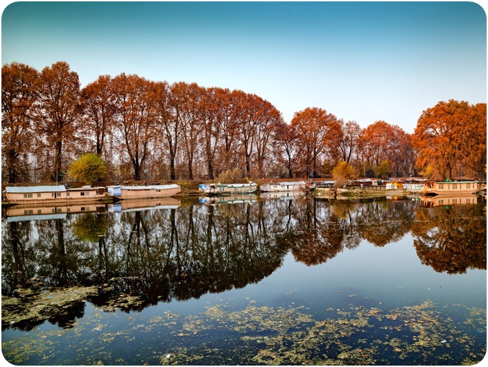 srinagar ศรีนาการ์ แคชเมียร์