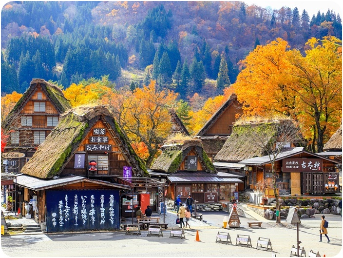 หมู่บ้านมรดกโลกชิราคาวาโกะ (Shirakawa-go) autumn