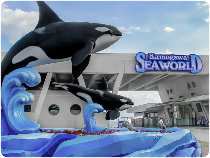 คาโมกาว่า ซีเวิลด์ (Kamogawa Sea World)