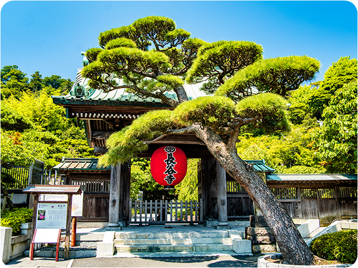 วัดเจ้าแม่กวนอิม หรือ วัดฮาเซเดระ (Hasedera Temple)