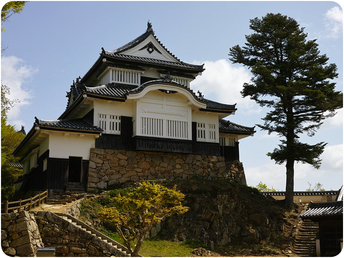 ปราสาทมัตสึยามะ (Matsuyama Castle)