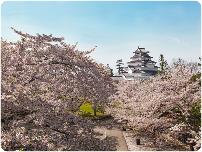 ปราสาทสึรุกะ (Tsuruga Castle)