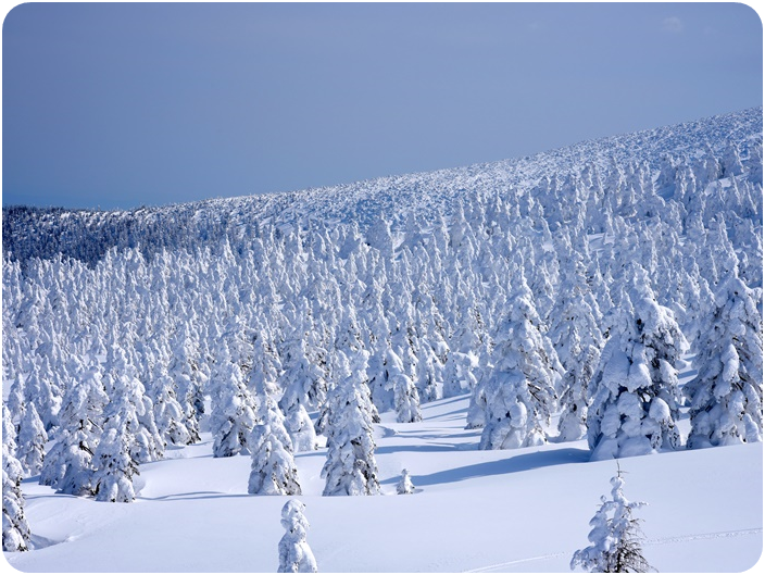 ภูเขาซาโอะ (Mount Zao)