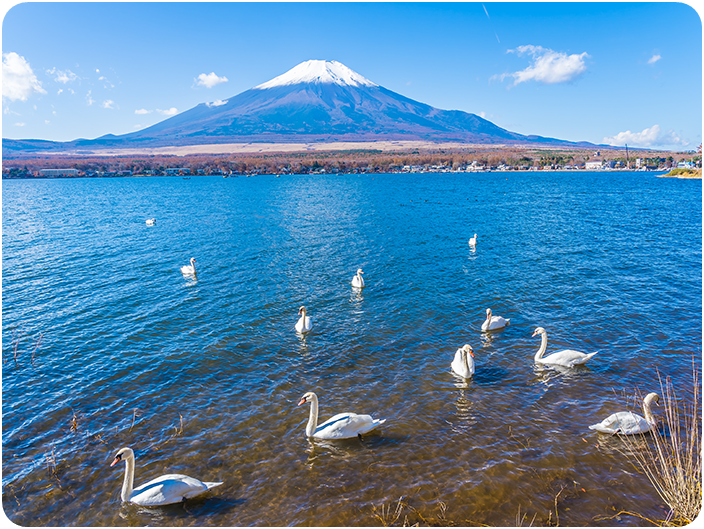 ทะเลสาบยะมะนะกะโกะ (Lake Yamanakako)