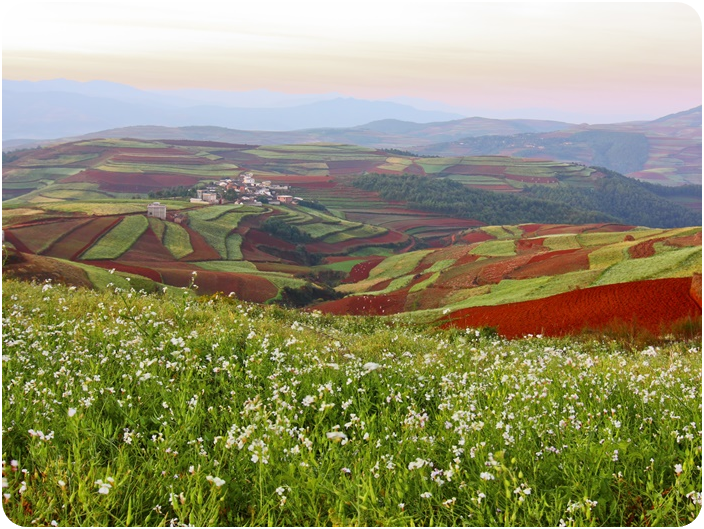 แผ่นดินสีแดงตงชวน (Dongchuan Red Land)