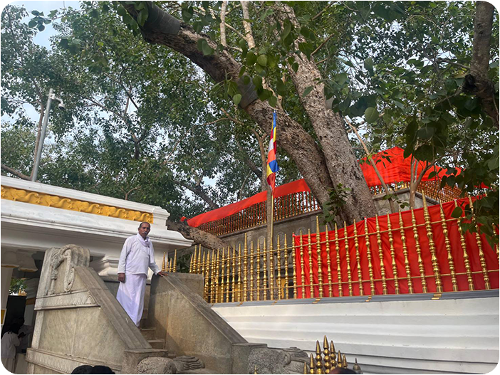 พระศรีมหาโพธิ์ (Jaya Sri Maha Bodhi, Anuradhapura)