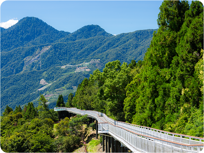 ทางเดินลอยฟ้าชิงจิ้ง (Cingjing Skywalk)