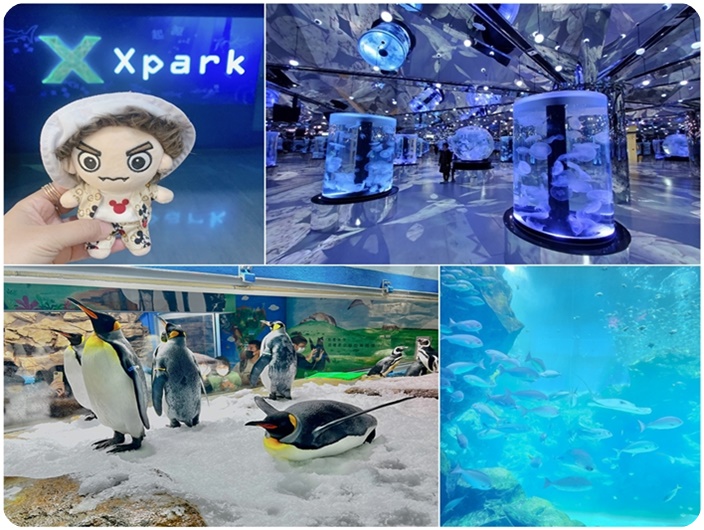 พิพิธภัณฑ์สัตว์น้ำ Xpark 