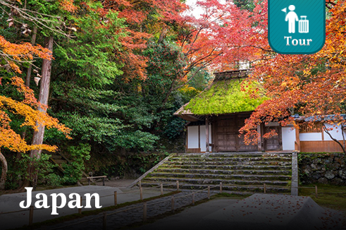 ทัวร์ญี่ปุ่น โอซาก้า คามิโคจิ ทาคายาม่า เกียวโต ชมใบไม้เปลี่ยนสี 6 วัน 4 คืน