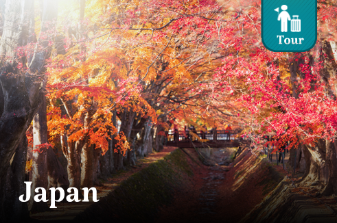 ทัวร์ญี่ปุ่น โตเกียว ฟูจิ Red Maple Leaves 5 วัน 3 คืน