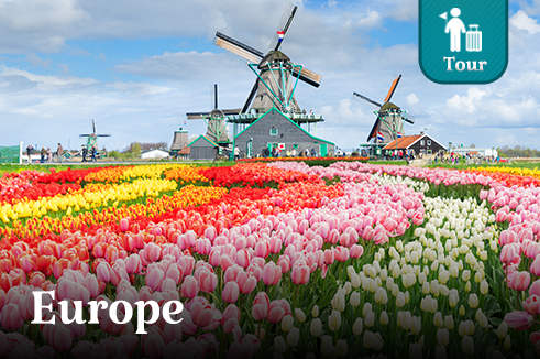 ทัวร์ยุโรป เทศกาลดอกทิวลิป Keukenhof เยอรมัน เบลเยี่ยม ลักเซมเบิร์ก เนเธอร์แลนด์ 8 วัน 5 คืน